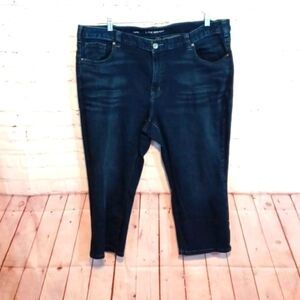 Lane Bryant Woman's  Slimming Jeans‎ sz  24 Mid Rise